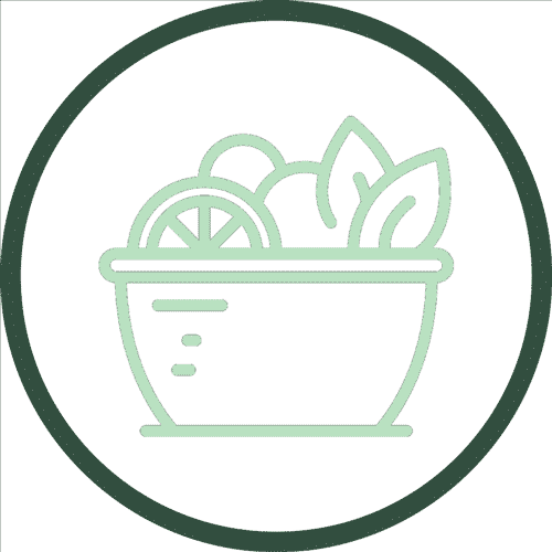 Salad-Icon-500-x-500